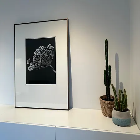 Maison Sur Oostduinkerke