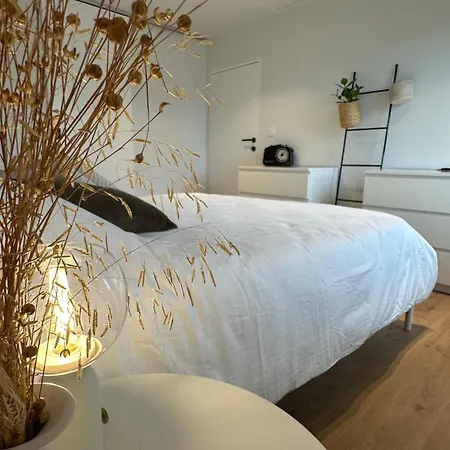 Maison Sur Oostduinkerke *