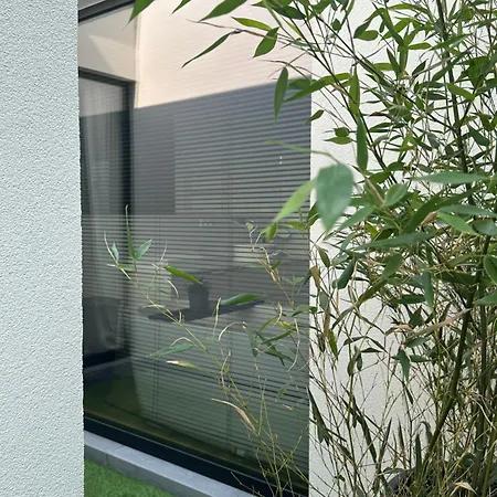 Maison Sur Oostduinkerke Koksijde