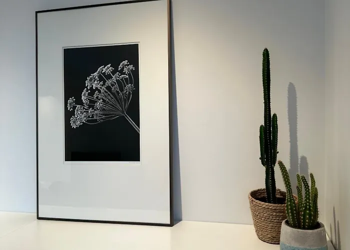 Maison Sur Oostduinkerke