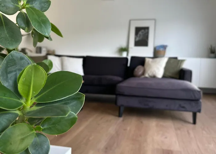 Maison Sur Oostduinkerke Dom wakacyjny *